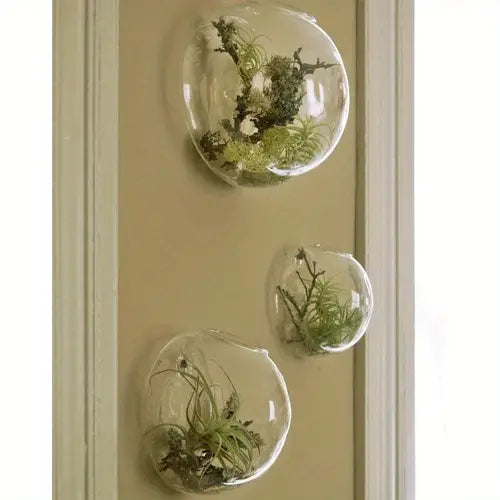 HydroNest™ Hanging Glass Planter
