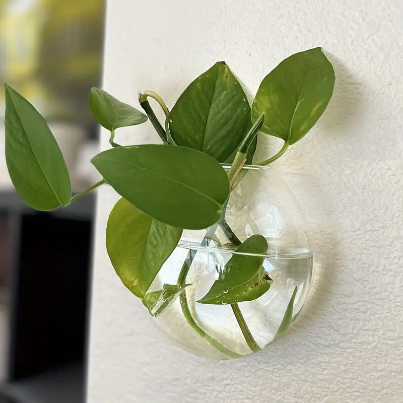 HydroNest™ Hanging Glass Planter