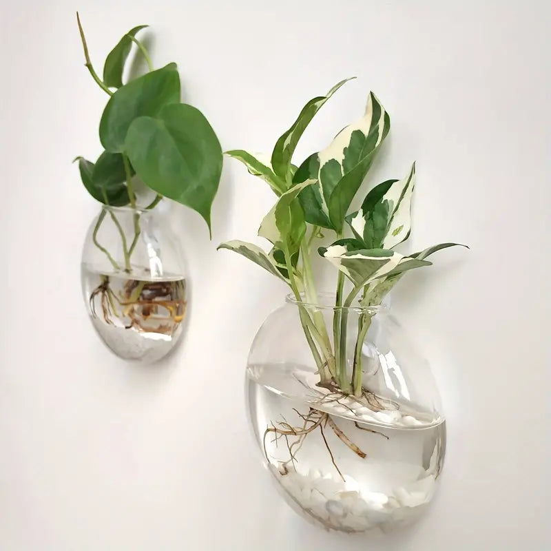 HydroNest™ Hanging Glass Planter