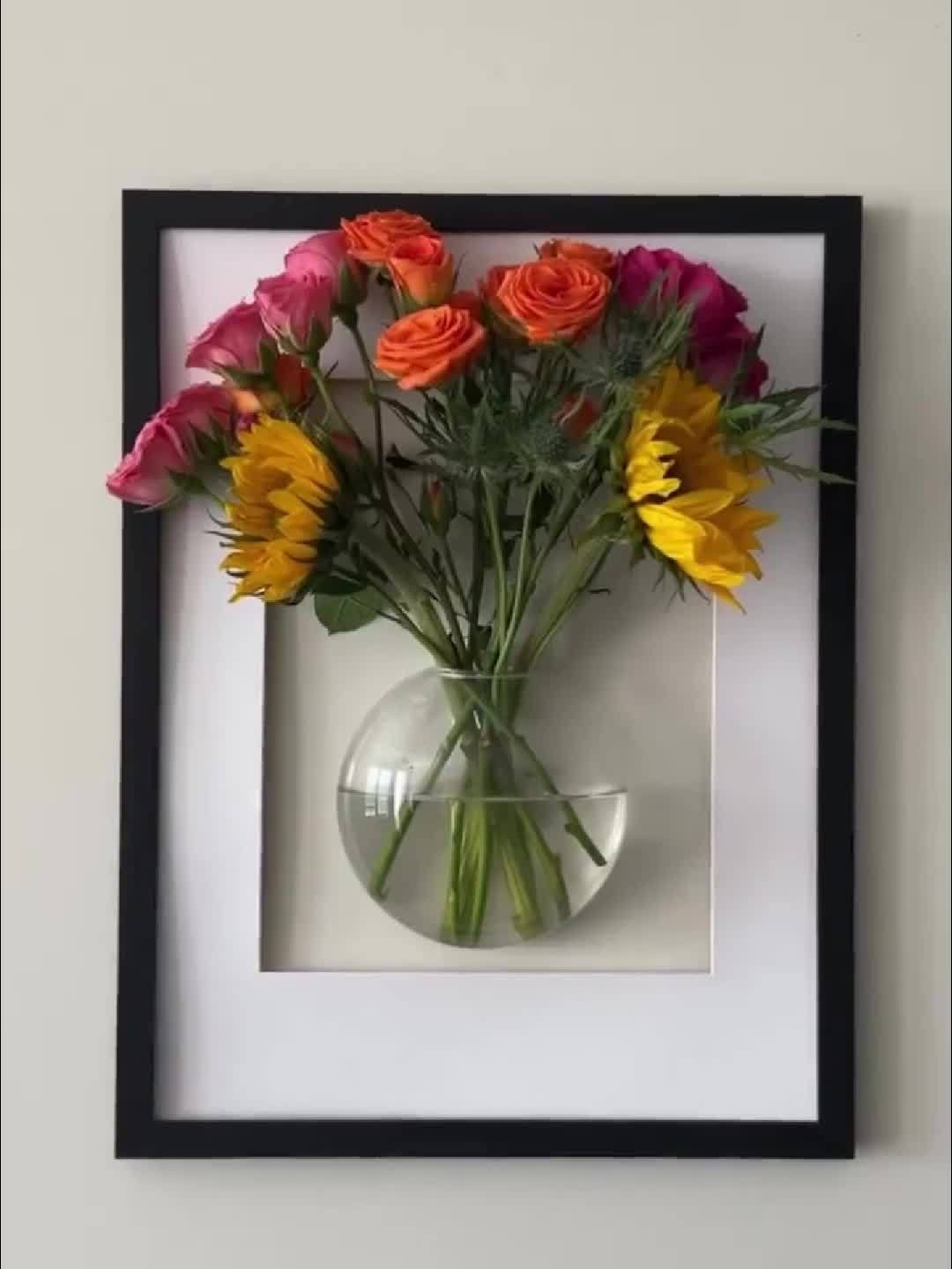 HydroNest™ Hanging Glass Planter