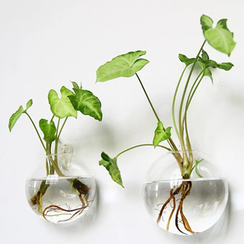 HydroNest™ Hanging Glass Planter