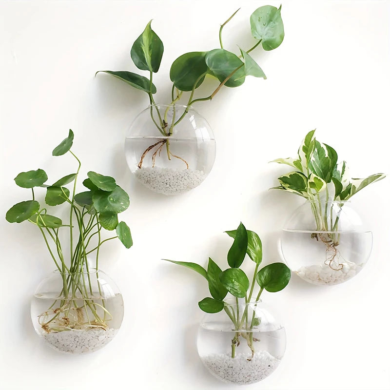 HydroNest™ Hanging Glass Planter