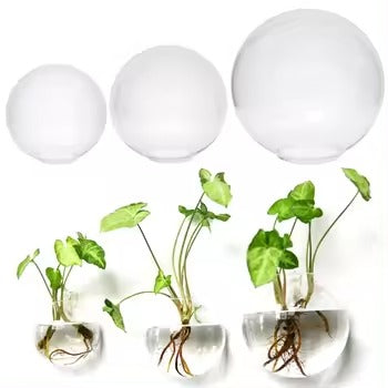 HydroNest™ Hanging Glass Planter