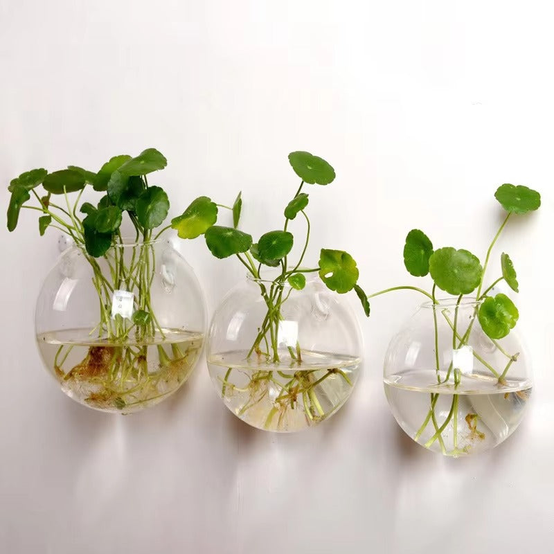 HydroNest™ Hanging Glass Planter