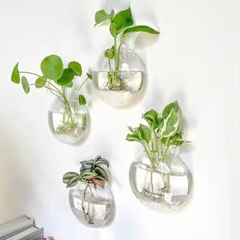 HydroNest™ Hanging Glass Planter