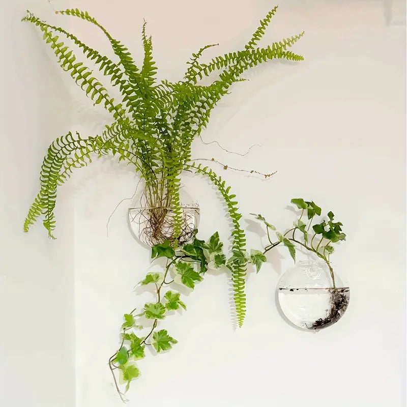 HydroNest™ Hanging Glass Planter